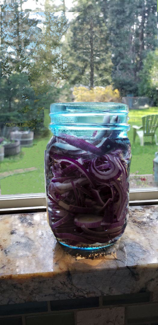 Quick Pickled Onions