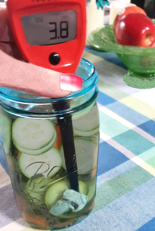 Quick Pickles in Mason Jar measuring pH level